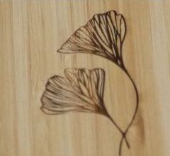 Design 5 (Blomster)